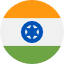 study abroad india flag